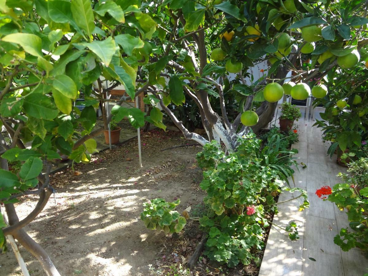 Cozy Citrus Garden House By The Seaside. Villa Khónias Kültér fotó